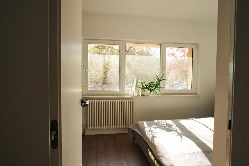 Ultracentral Two Rooms Apartment In Бухарест Экстерьер фото